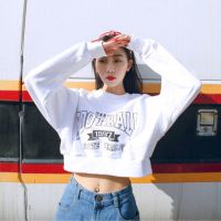 风与歌姬